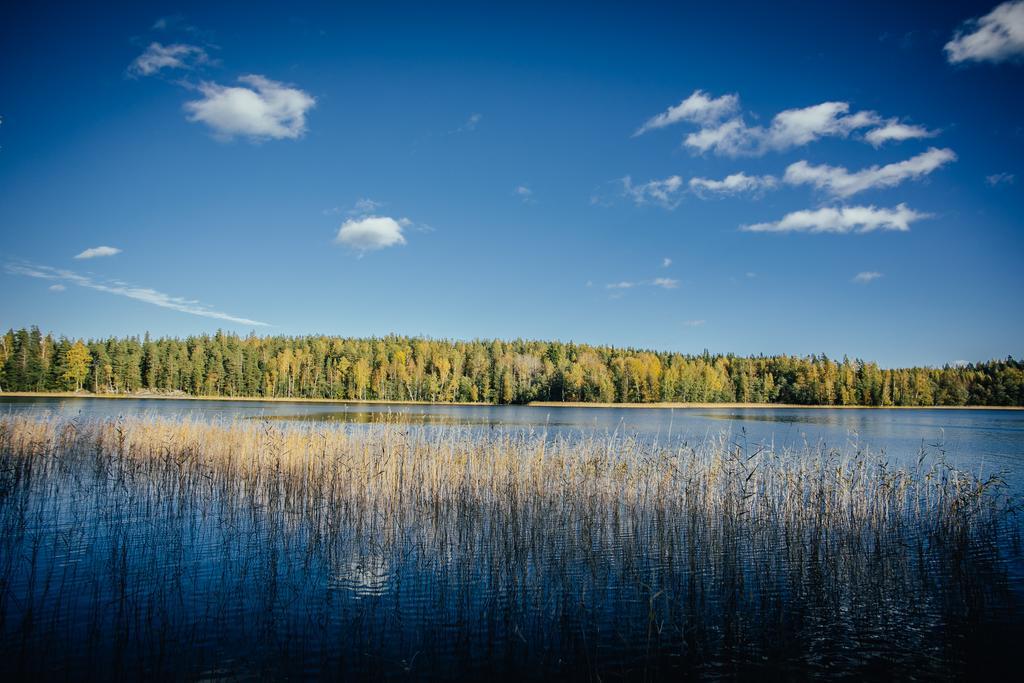 Sleepwell Villa Hartola By The Lake Kirkkola Екстер'єр фото